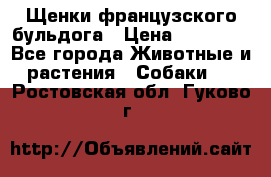 Щенки французского бульдога › Цена ­ 30 000 - Все города Животные и растения » Собаки   . Ростовская обл.,Гуково г.